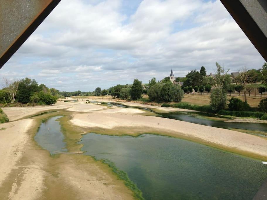 La Vigne Et La Loire Holiday home *